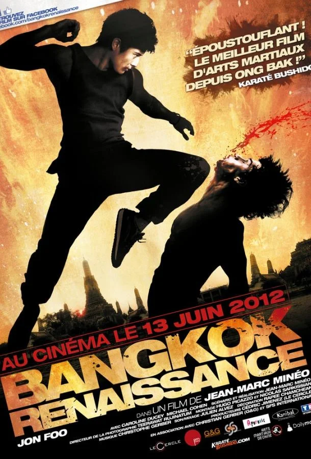 Перерождение (2011) смотреть онлайн