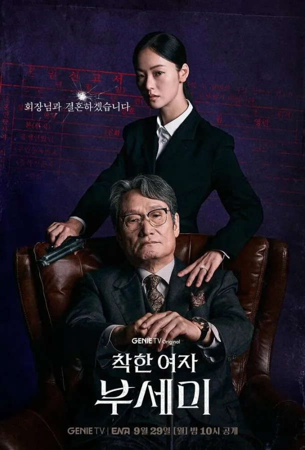 Госпожа Инкогнито / Хорошая женщина Бу Се Ми (1 сезон 1-10,11,12 серия) смотреть онлайн