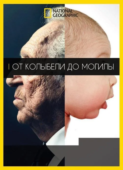 От колыбели до могилы (2017) смотреть онлайн