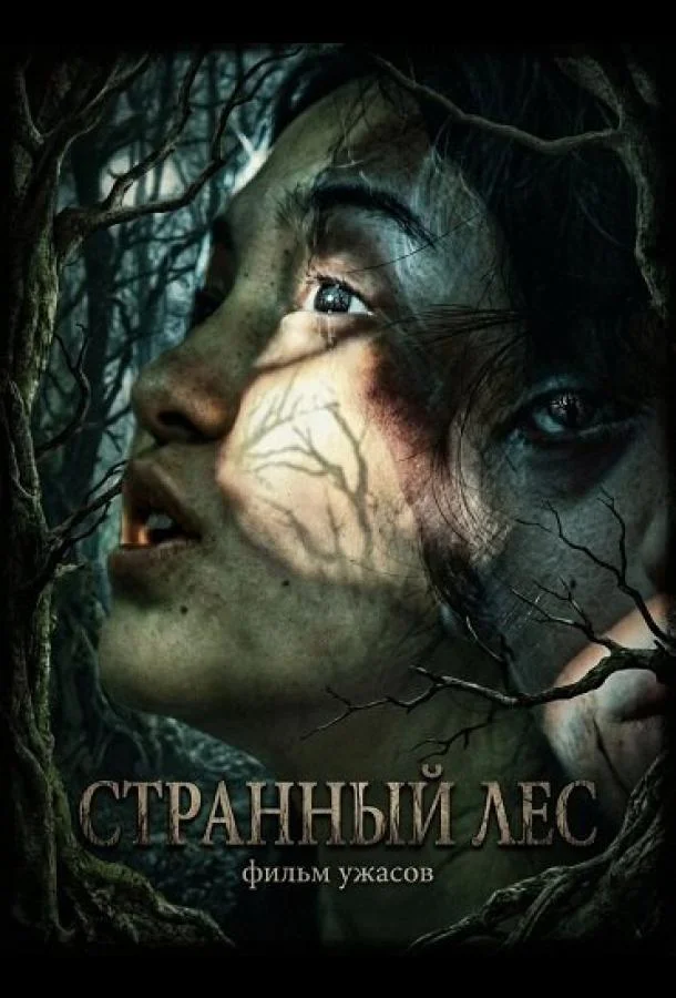 Странный лес (2025) смотреть онлайн